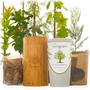 Living Urn System Only (use with a family's own tree, plant or flowers)